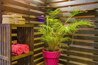 photo Piton Bungalows Guadeloupe