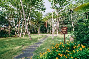 Le Spa se trouve dans un cadre verdoyant pour vivre une vritable exprience au cur de la nature !