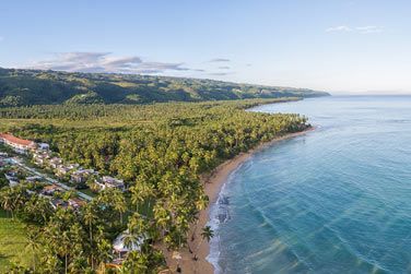 La nature luxuriante au bord d'une magnifique plage!