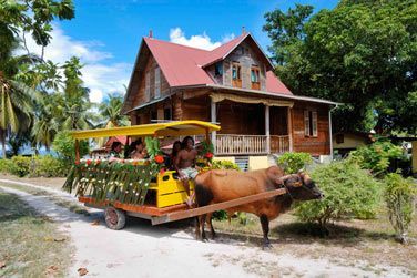 Au dtour d'un chemin, vous croiserez sans doute des chars  boeufs !