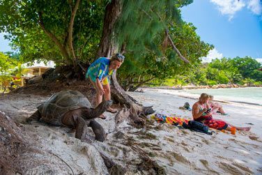 Vous pourrez les approcher sans aucun problme !