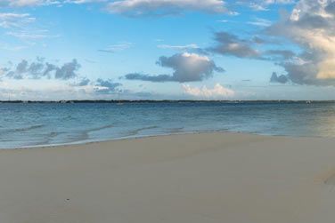 O vous vivrez une vritable exprience Robinson !