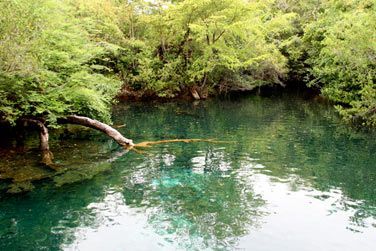 Le parc cologique Ojos Indgenas abrite plus de 500 espces de plantes exotiques
