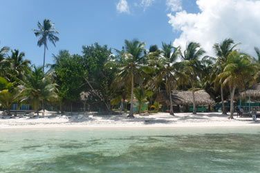 Lle de Saona, avec ses plages aux eaux turquoise et ses palmiers