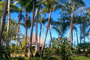 L'htel Atlantis se trouve au coeur d'un jardin  la vgtation luxuriante