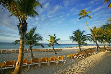 La plage du Viva Wyndham Dominicus Palace 4*