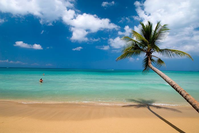 photo combin� saint-domingue/ samana - duo de charme