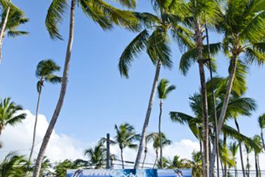 Las Terrenas : des kilomtres de plages bordes de cocotiers, un petit bout de paradis...