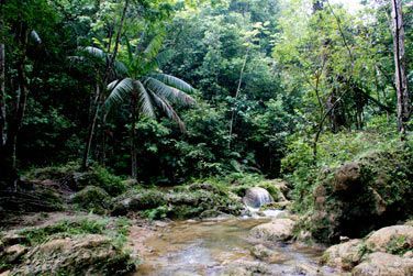 Dcouvrez le Parc National de Los Haitises en Rpublique Dominicaine, surnomm la baie d'Halong des Carabes