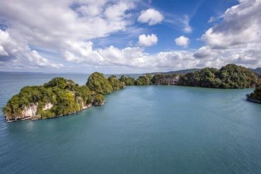 Au Parc National Los Haitises, vous pourrez trouver une infinit despces danimaux sauvages