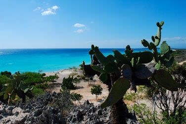Bahia las Aguilas est une baie au sud-ouest de la Rpublique Dominicaine