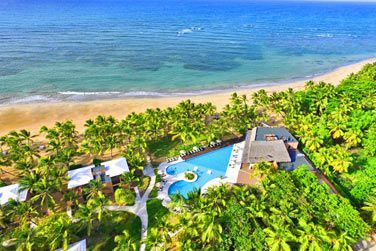 Situ au coeur d'un paradis tropical, dans un lieu somptueux, calme et prserv