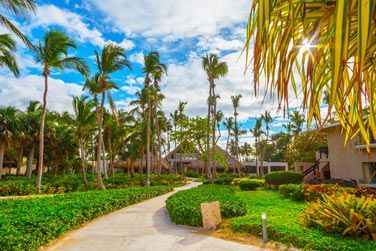 Situ au coeur d'un paradis tropical, dans un lieu somptueux