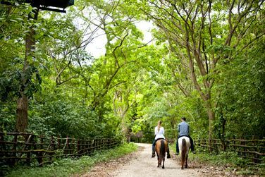 Envie de vacances actives? Vous pourrez partir en balade  cheval  la dcouverte de cette magnifique rgion !
