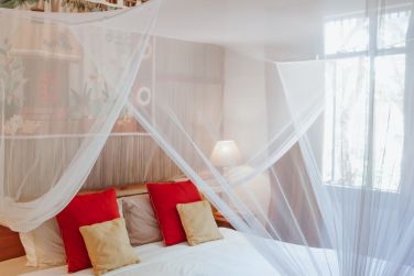 photo La Vieille Chemine Ile Maurice