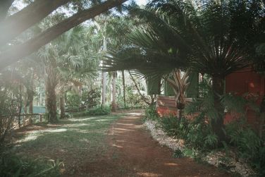 photo La Vieille Chemine Ile Maurice