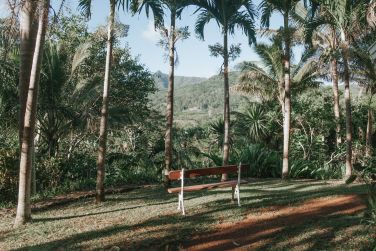 photo La Vieille Chemine Ile Maurice