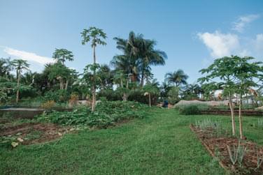 Le jardin de La Vieille Chemine