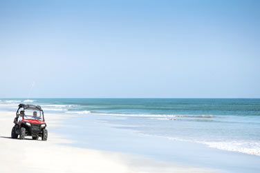 Offrez-vous une excursion en buggy !