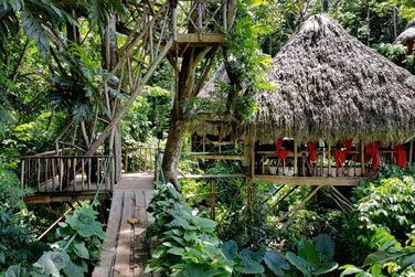 Pour une exprience totalement atypique ...