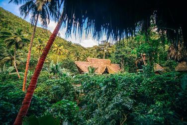 et dcouvrez le Dominican Tree House Village !