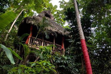 Ici, pas de tlphone ni de WiFi !