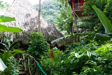 Elles s'intgrent parfaitement  la nature luxuriante.