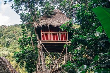 Se prendre pour Tarzan le temps de quelques nuits...