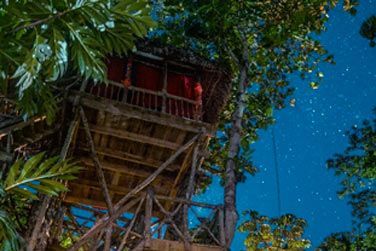 A la tombe de la nuit, vous aurez la tte dans les toiles.