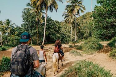 Profitez de votre sjour au Dominican Tree House Village pour partir en balade  cheval  l'intrieur des terres !