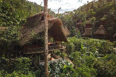 Dcouvrez les cabanes dans les arbres !