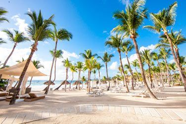 Situ au bord d'une magnifique plage de sable blanc