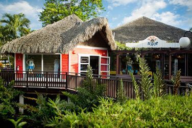 photo Viva Dominicus Palace by Wyndham Rpublique Dominicaine