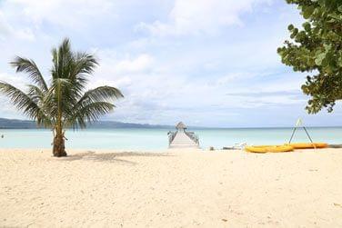 photo Trio Tropical en Rpublique Dominicaine Rpublique Dominicaine