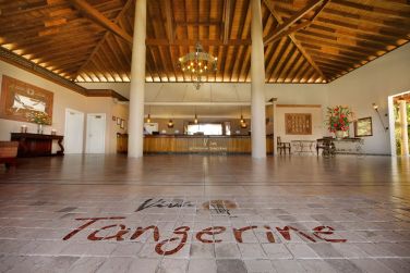 photo Viva Tangerine by Wyndham Rpublique Dominicaine