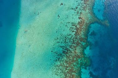 Ou plonge sur la magnifique barrire de corail