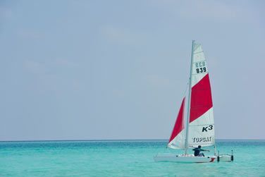 Une multitude d'activits