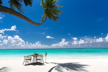 Un dcor paradisiaque n'est-ce pas ?