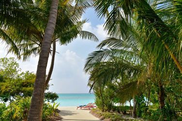 La vue depuis votre villa plage ...