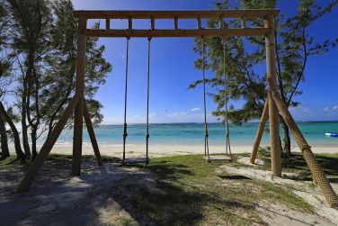 photo C Mauritius Palmar Ile Maurice