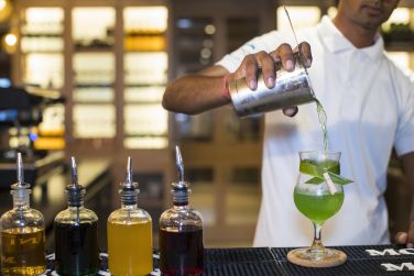 photo C Mauritius Palmar Ile Maurice