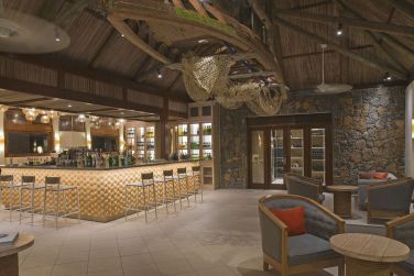 photo C Mauritius Palmar Ile Maurice