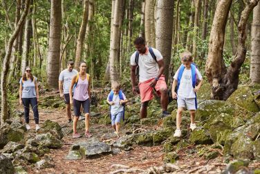 photo C Mauritius Palmar Ile Maurice