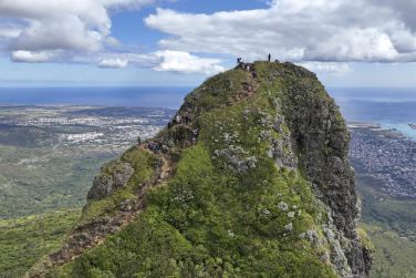 photo C Mauritius Palmar Ile Maurice