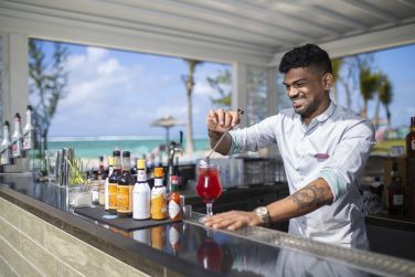 photo C Mauritius Palmar Ile Maurice