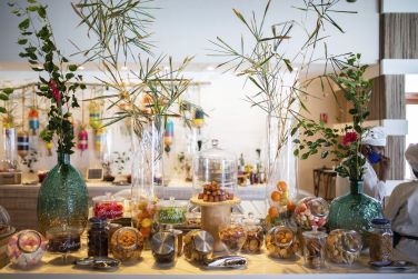 photo C Mauritius Palmar Ile Maurice