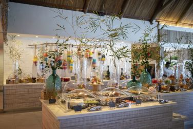 photo C Mauritius Palmar Ile Maurice