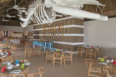 photo C Mauritius Palmar Ile Maurice