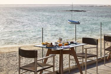 photo C Mauritius Palmar Ile Maurice