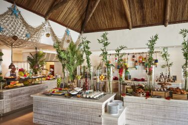 photo C Mauritius Palmar Ile Maurice